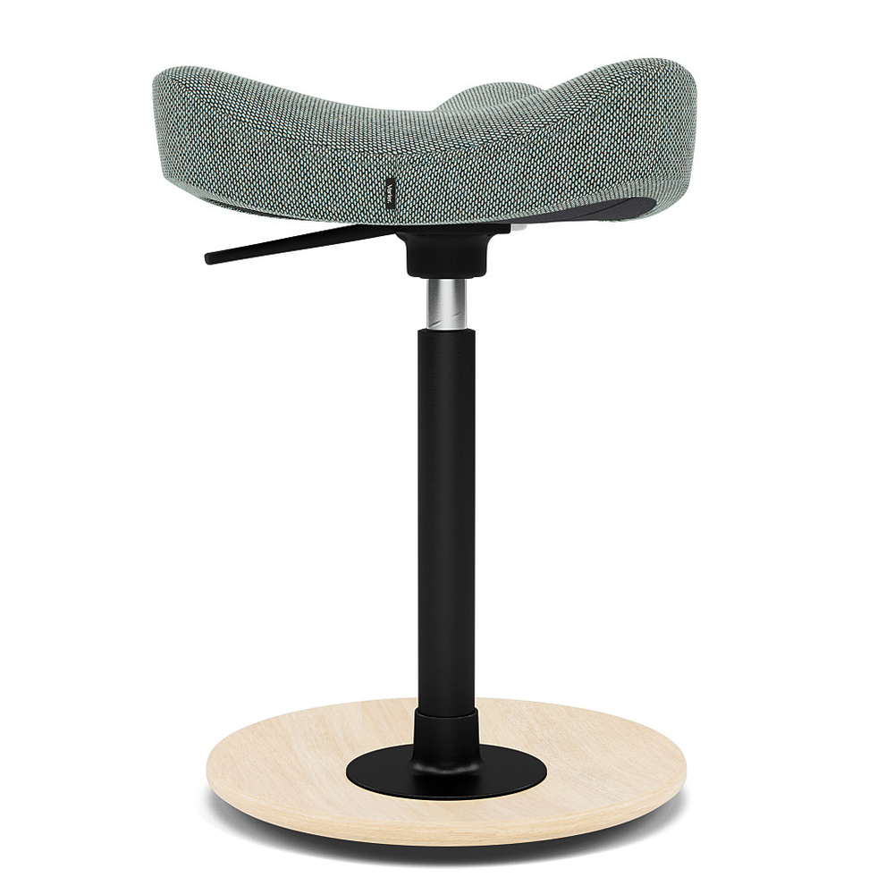 ヴァリエール　Varier Move Compact　*X52 Move™ Compact